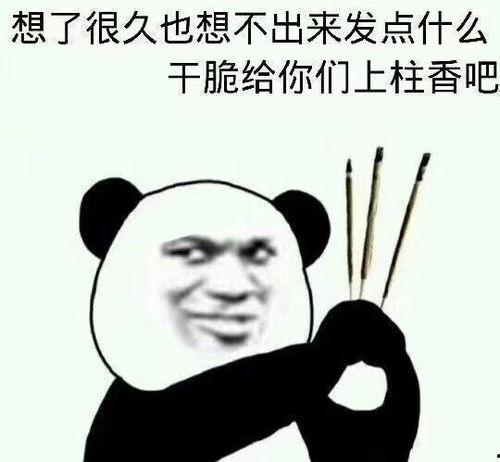 我们战斗吧表情包,战斗吧！表情包中的热血青春