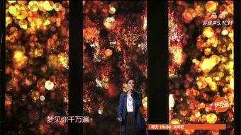 射艺背景歌曲,探寻射艺背后的历史韵律